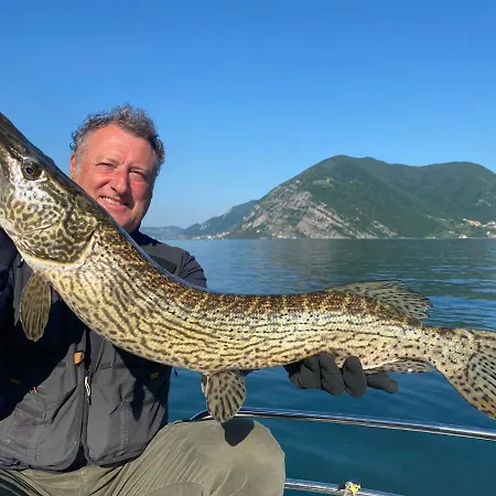 In Riva Al Di Iseo Dependance Primo Piano Marone
